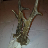 vaha 540g