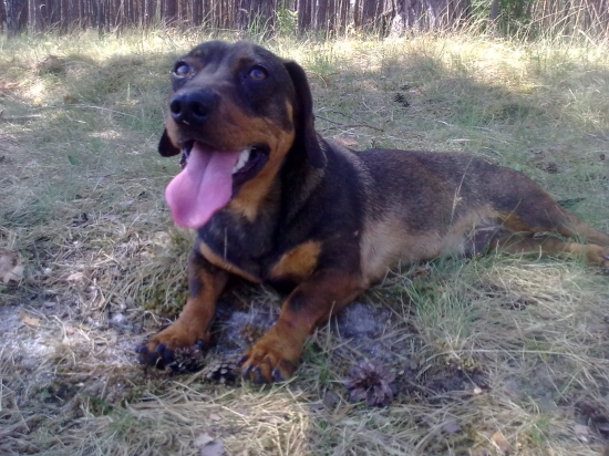 Dnes je velke teplo.