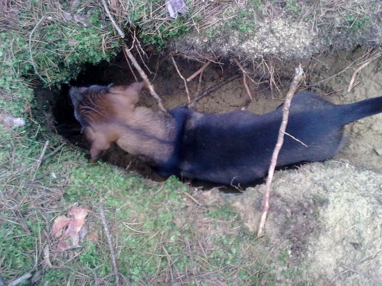 Pozriem dnu aka je ta dierka.