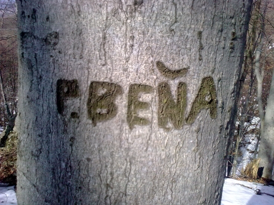 Vsade ho je - je to lesny duch!