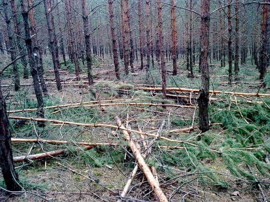 Ale to obrusuju jak sa patri.