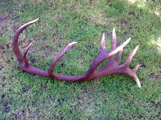 Kamaratou odliatok Polanskeho zhodu z pred troch rokou .