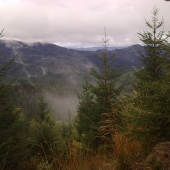 Ked na hrebenoch hor a vdolinach rucia jelene - Septembrove rano.