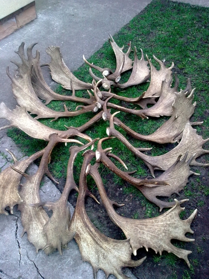 Vrtulnik mi takto pristal na dvore,