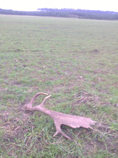 Naval ludi cez vikend A lopata dnes rano