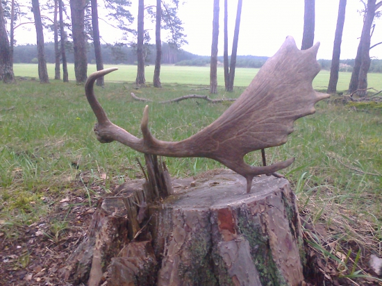 Tento zhod je uz asi tri dni minulostou. Ukradli mi ho ubožiacikovia z nasej dediny