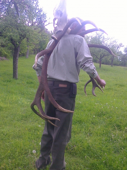 Polanska 25 r minulost po Alfredovi z Kamenistej doliny - potoka.