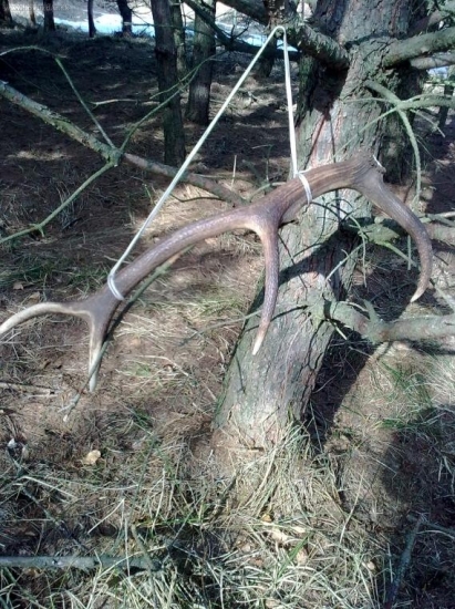 včera 10:30 hod.-1ks