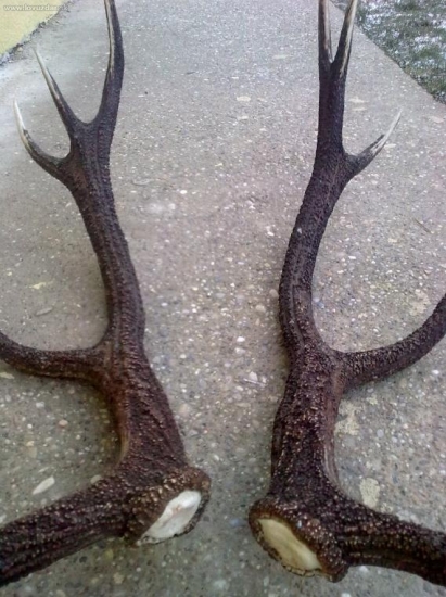 Také slabé perlovanie