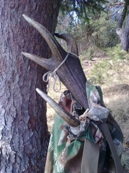 Zhod ruksakový-Poľiansky