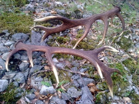 Z pod Želobudskej skaly 2