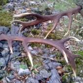 Z pod Želobudskej skaly 2