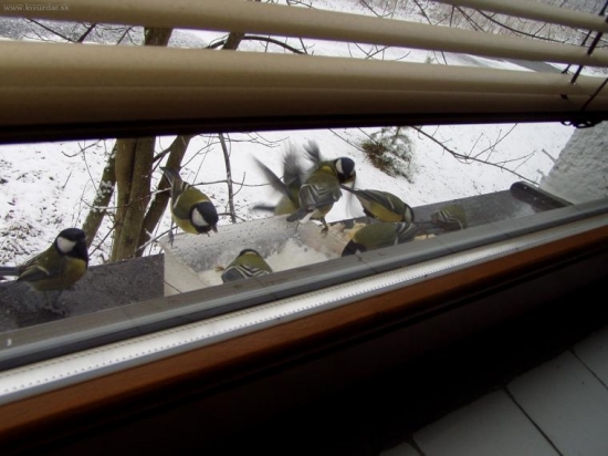 este stale su hladne