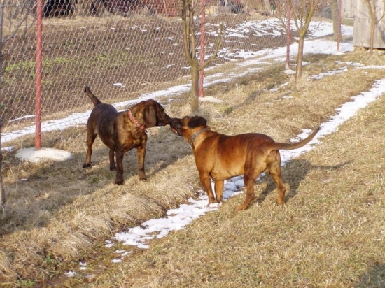 najskôr bola pusa a potom...