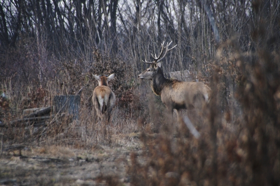 na podvečernom slniečku