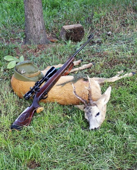 dnes ráno-kamarátov