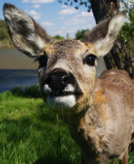 Prišla si ma obzrieť.