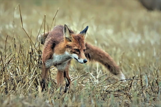 tu to označkujem a idem ďalej