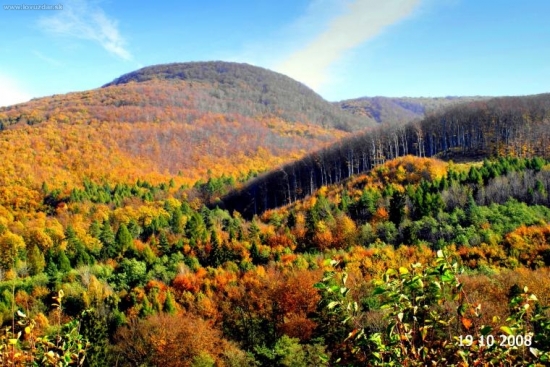 najkrajšie farby má jeseň