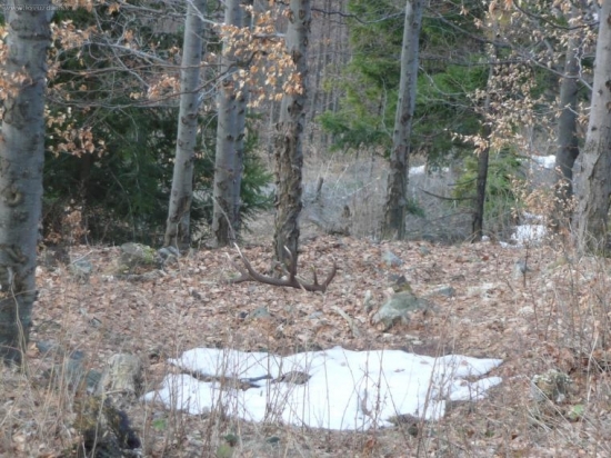 Prvý pohľad, pár takmer po mesiaci