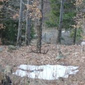 Prvý pohľad, pár takmer po mesiaci