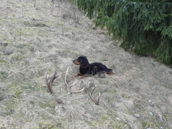 Ten v ľavo nasiel on