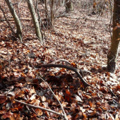 Na Štefana v pohone