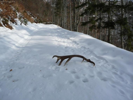 Tomuto sa povie stastie