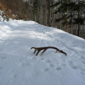 Tomuto sa povie stastie