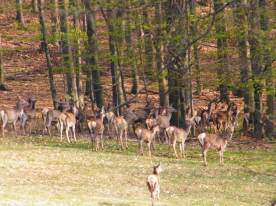 vysoka,ale uz ma zbadali..