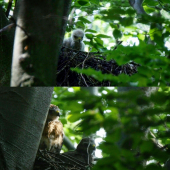 Po dvoch týždňoch