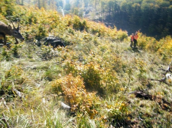 fotený od pol pása na 2m( čistý reflex)