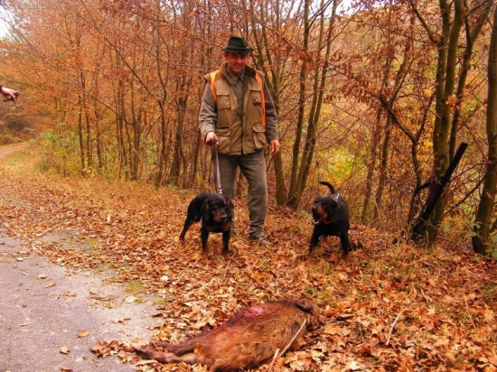 Cevar a Iris a ich prvá uspešná dohladávka