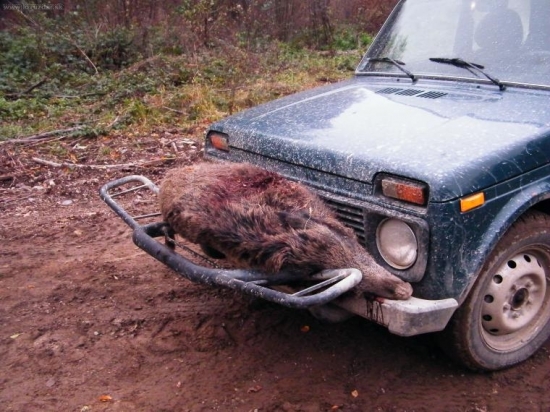 aj toto je spôsob dovozu po dohladávke...