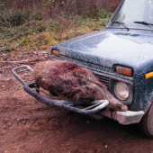 aj toto je spôsob dovozu po dohladávke...