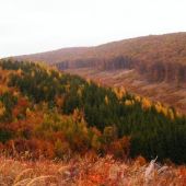 Nitrolín cez jeseň