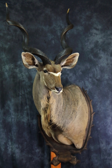 kudu
