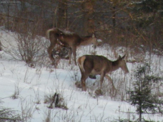 a zima este stale neskončila
