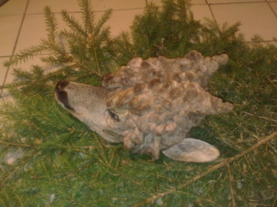 parochniar-  musel vytrpiet