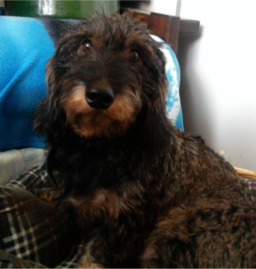 vcera som mala 2roky