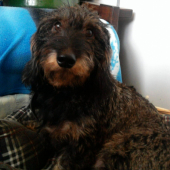 vcera som mala 2roky