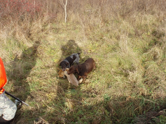 nevedia sa dohodnuť