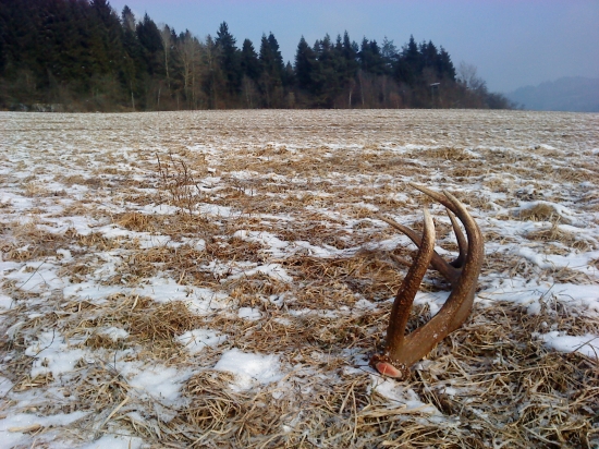 aj nepriek tomu ze tam bolo neskutocne vela paroharov