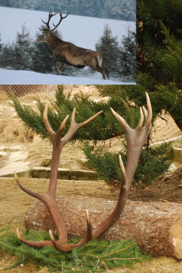 zhody aj z jeho byvalim majitelom