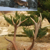 zhody aj z jeho byvalim majitelom