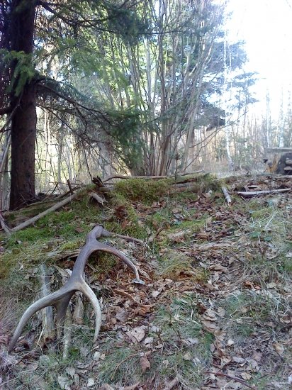 vietor ma zavial k nemu :)