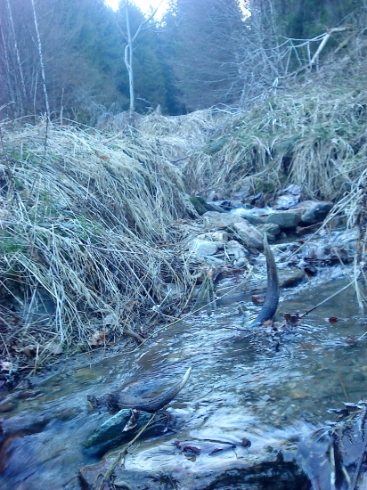 čaro horského potôcika