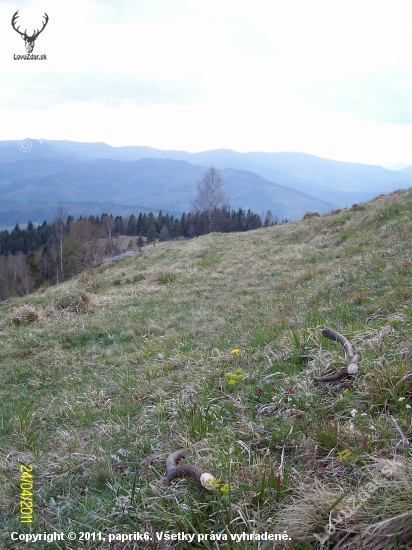 Najkrajšie lúčne kvietky