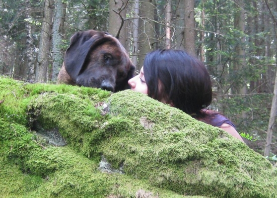 láska na prvi pohlad