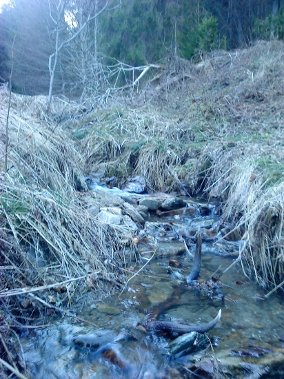 tak si trosku zaspominat